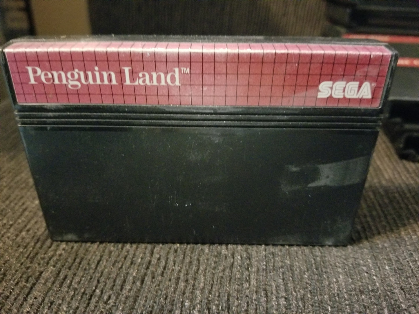 penguin land C