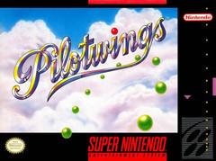pilotwings C