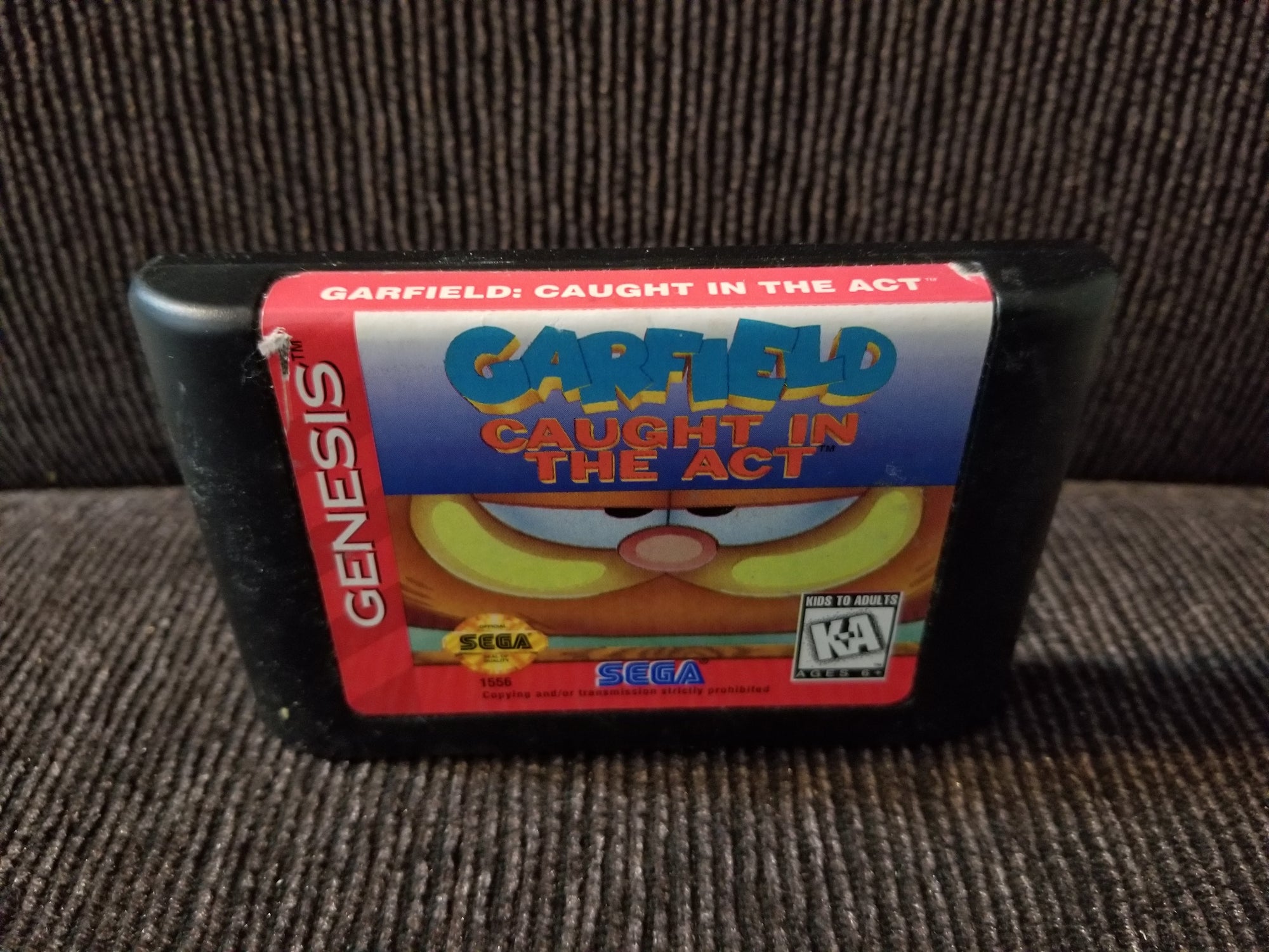 garfield caught in the act C