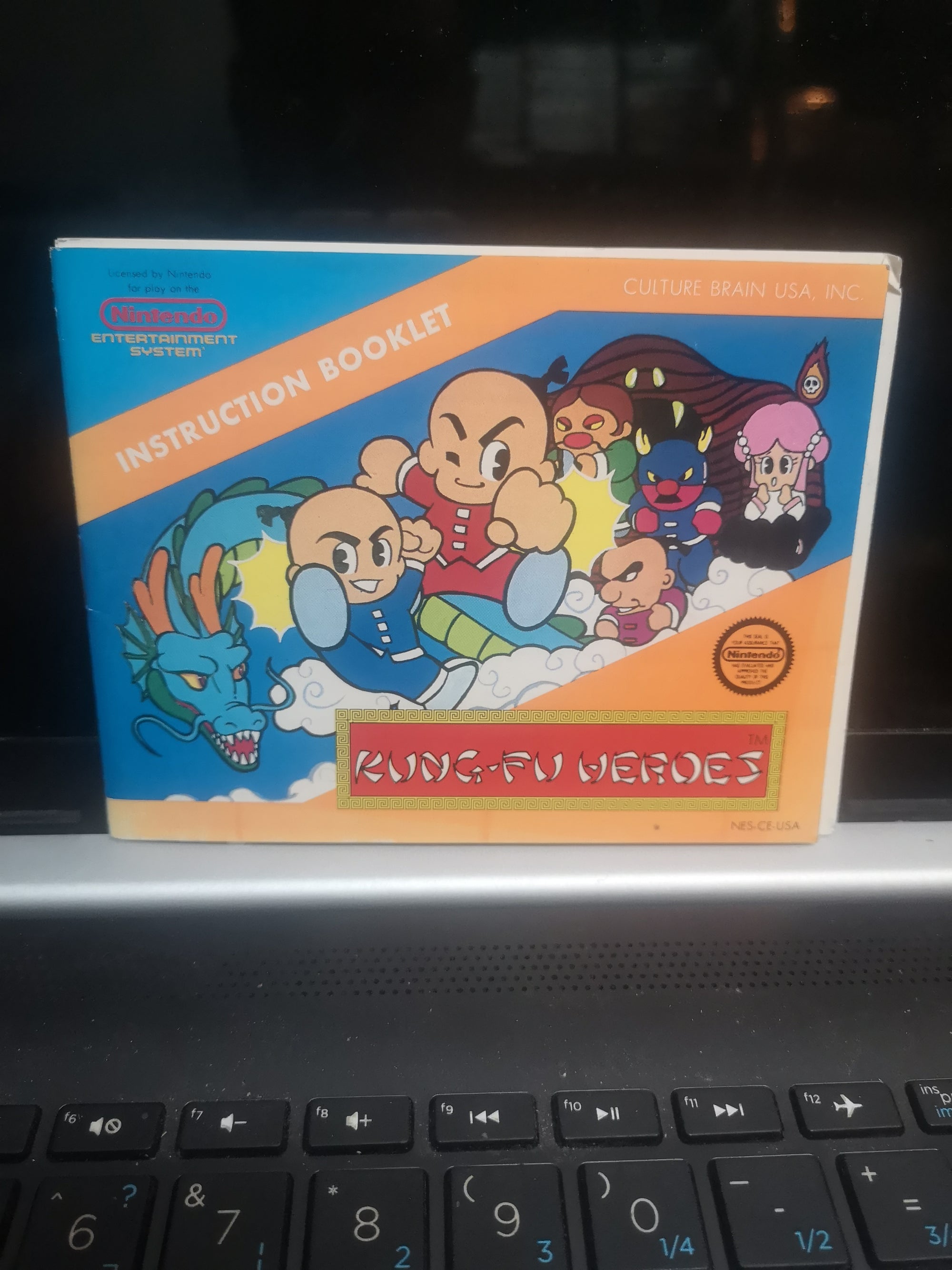 kung fu heroes manual